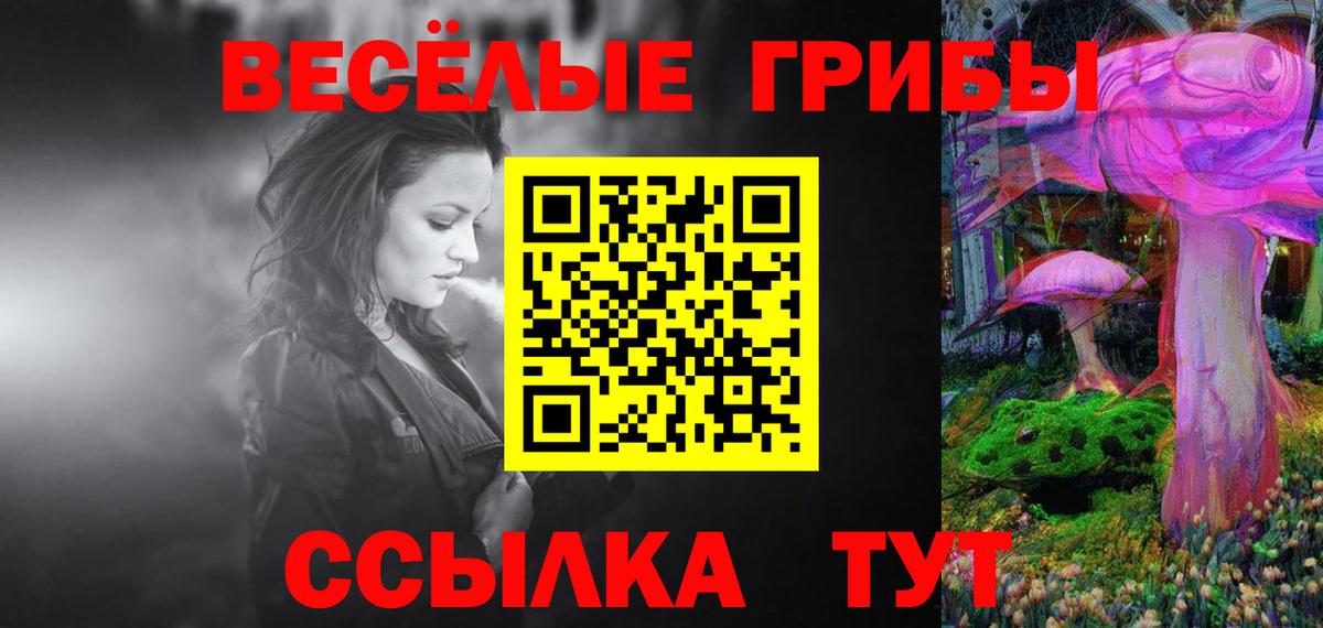 Псилоцибиновые грибы GOLDEN TEACHER Лосино-Петровский